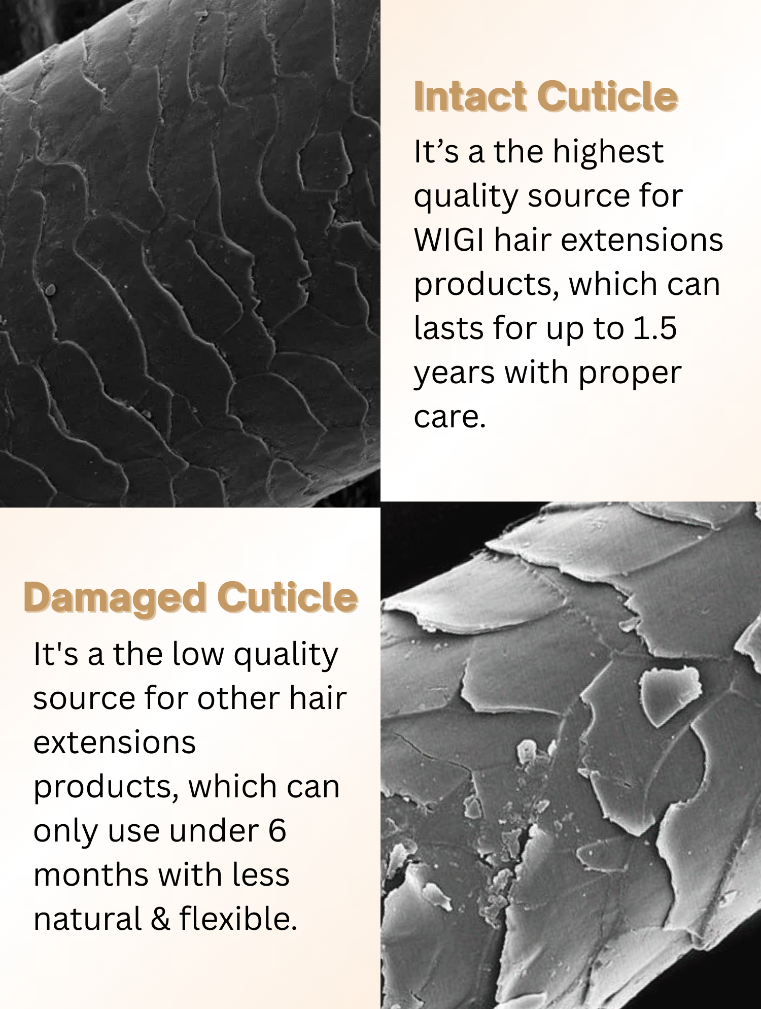 #color_1b-natural-black