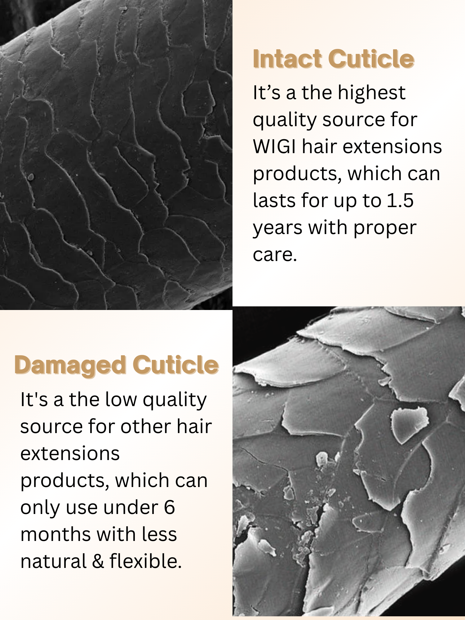 #color_9-613-rooted-ash-brown-highlights