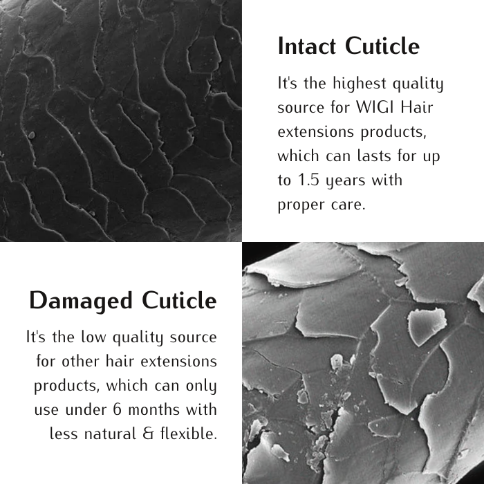 #color_18a-60-champagne-highlights