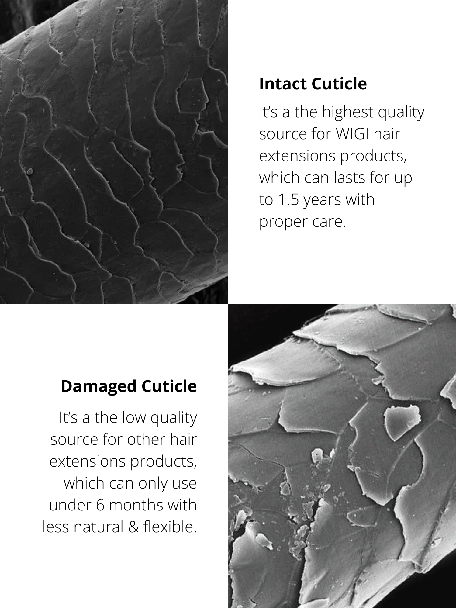 #color_salt-and-pepper-70-80-gray